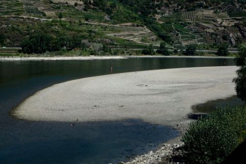Bild: 2018-12/wir-rhein1.jpg